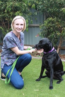 For The Love of Animals | Canterbury Veterinary Clinic & Hospital